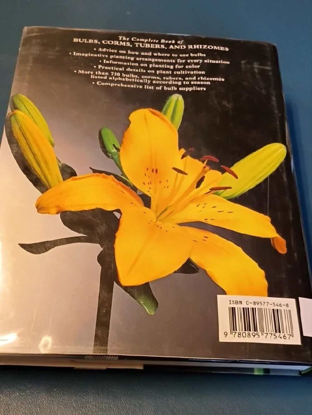 The Complete Book of Bulbs — Black Cover
